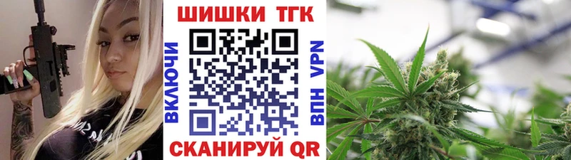 ГАШ Томилино