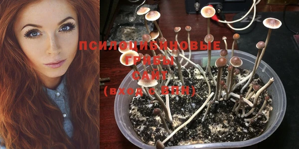 таблы Белокуриха