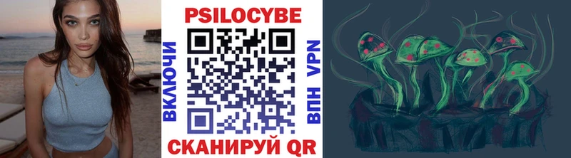 цены наркотик  Томилино  Псилоцибиновые грибы прущие грибы 